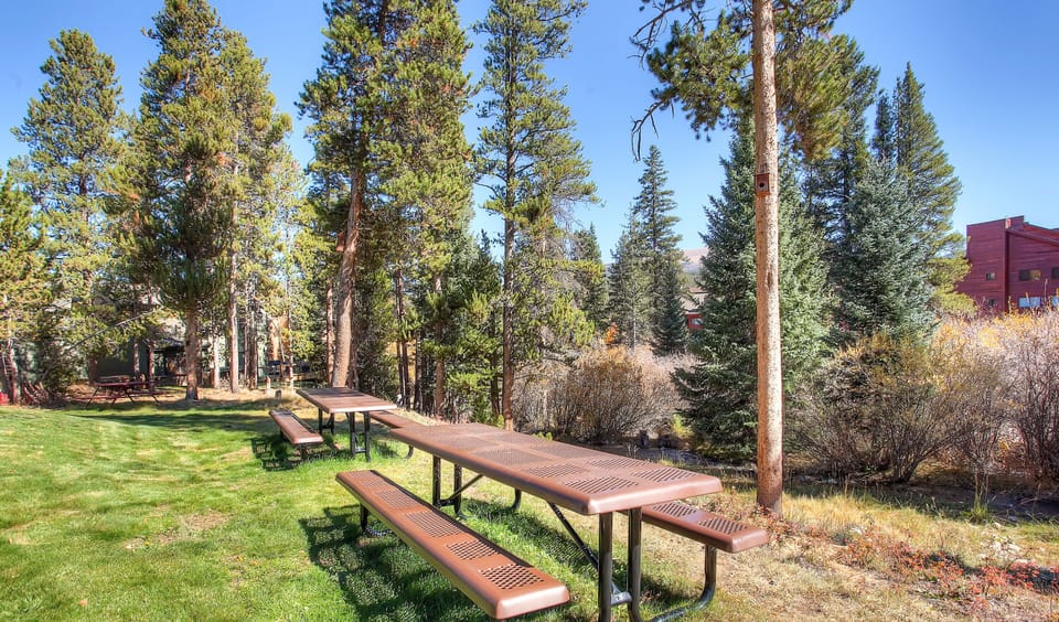 Outdoor picnic area