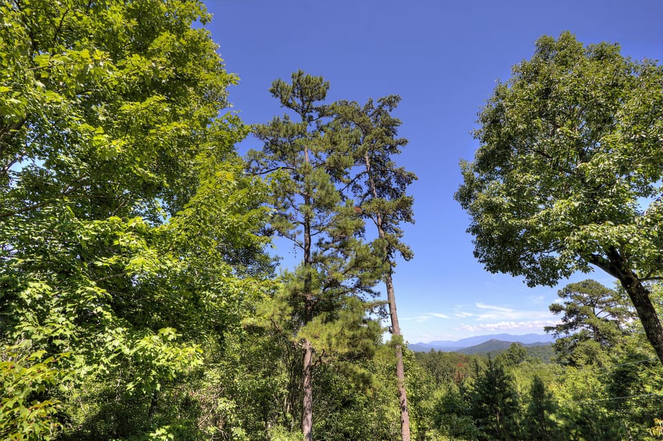Mountain Views - Surrounded by trees.