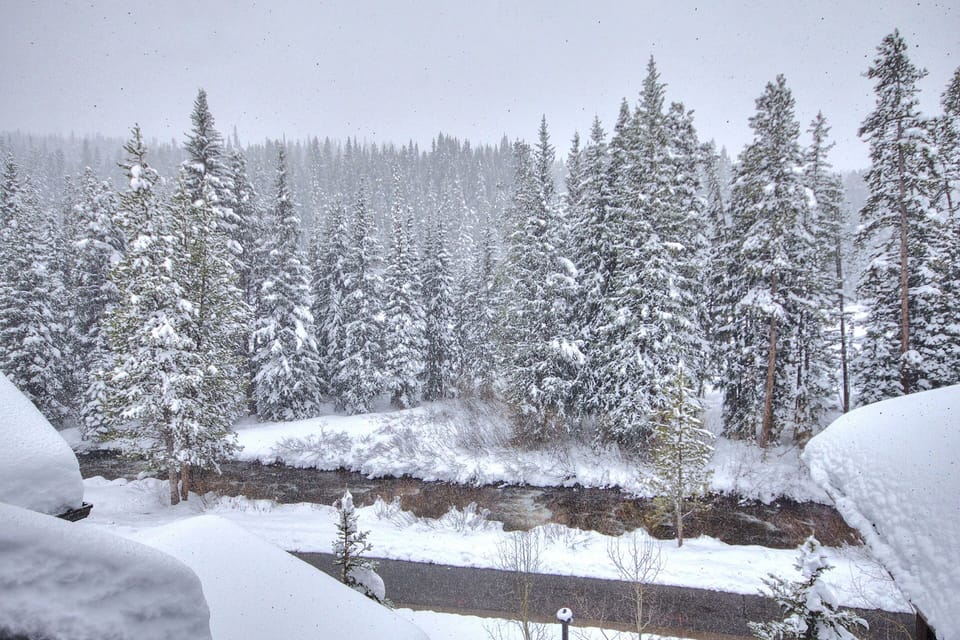 A snow-covered forest with tall pine trees, a river running through the center, and heavy snowfall in progress.