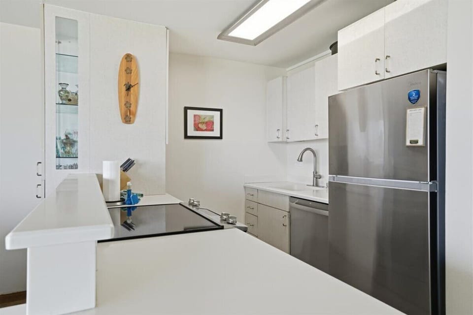 B423 Kitchen fridge