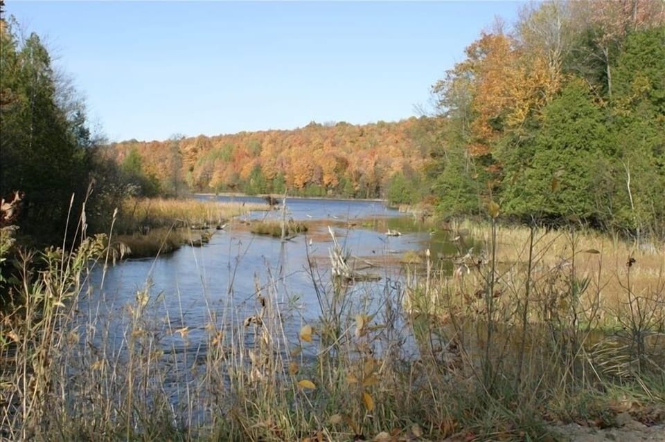 Beautiful Area near Chalet- This is Rapid River near Rugg Pond, natural areas!