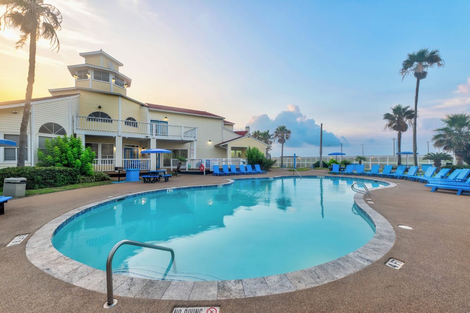 Resort-style pool area surrounded by tropical palms and comfortable blue loungers, perfect for evening swims.