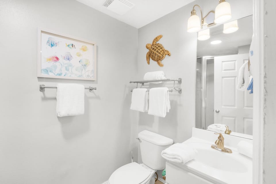 Guest bathroom