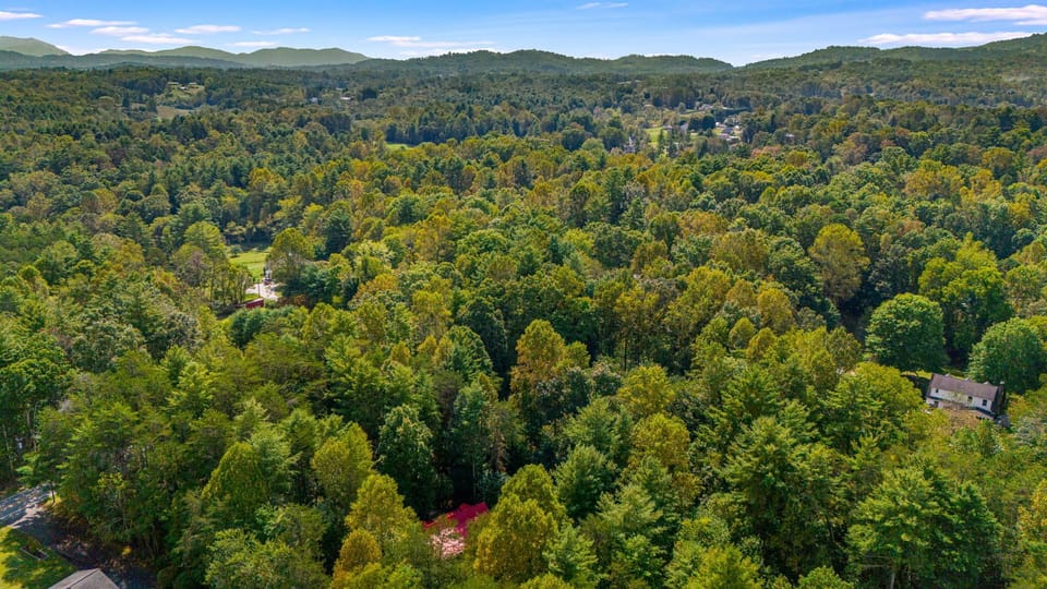 Peaceful Wooded Surroundings