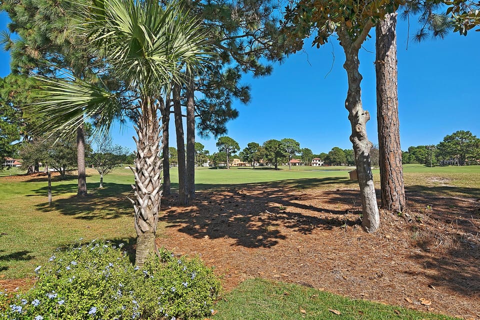 Golf Course