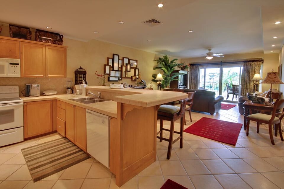 Kitchen and living room area.