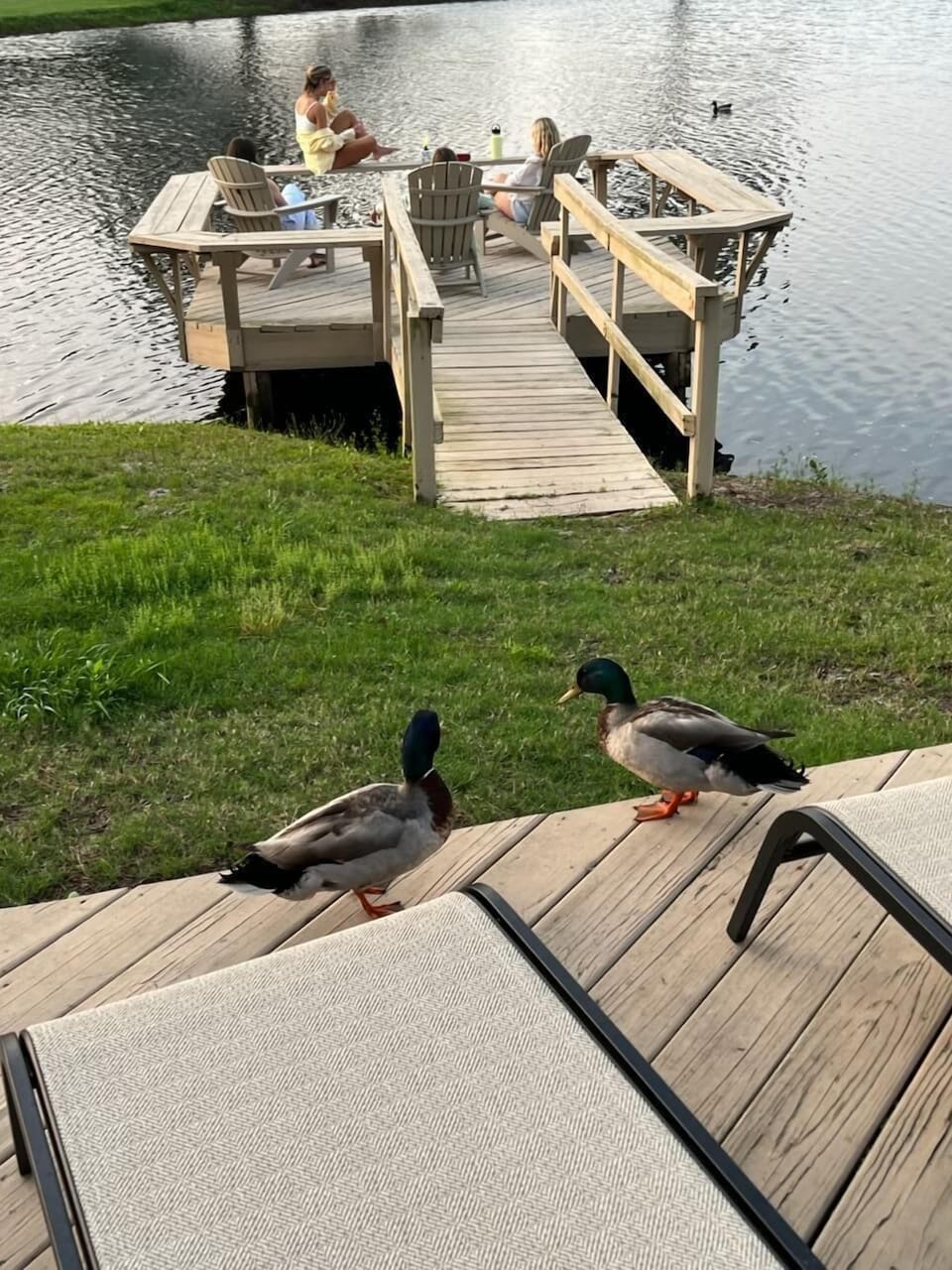 You Never Know Who Will Stop By For a Visit