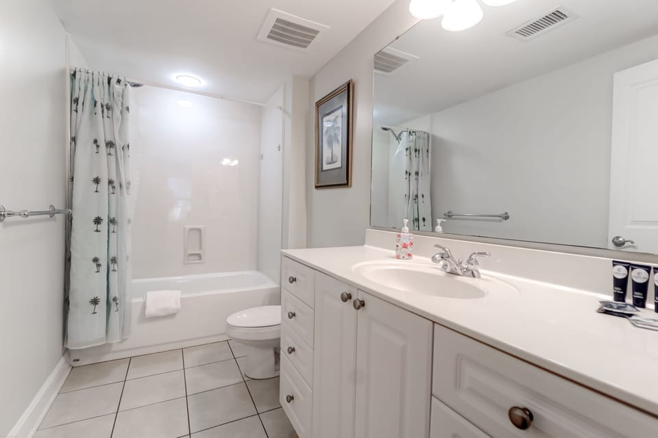 Guest Bathroom 1