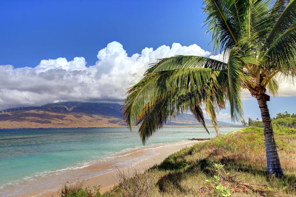 Picture Perfect Paradise!