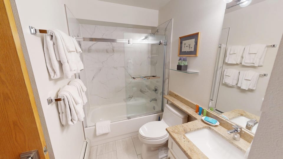 Shared Hall Bath with Combo Tub Shower - Shared Hall Bath with Combo Tub Shower