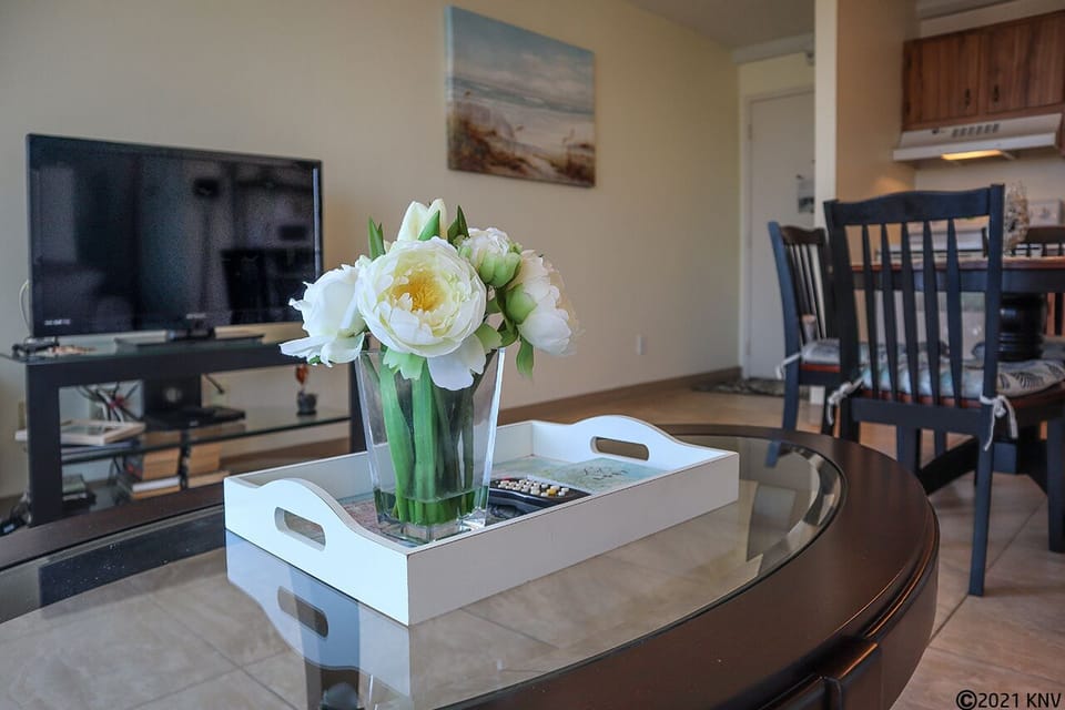 Large screened TV and sleeper sofa in the living area