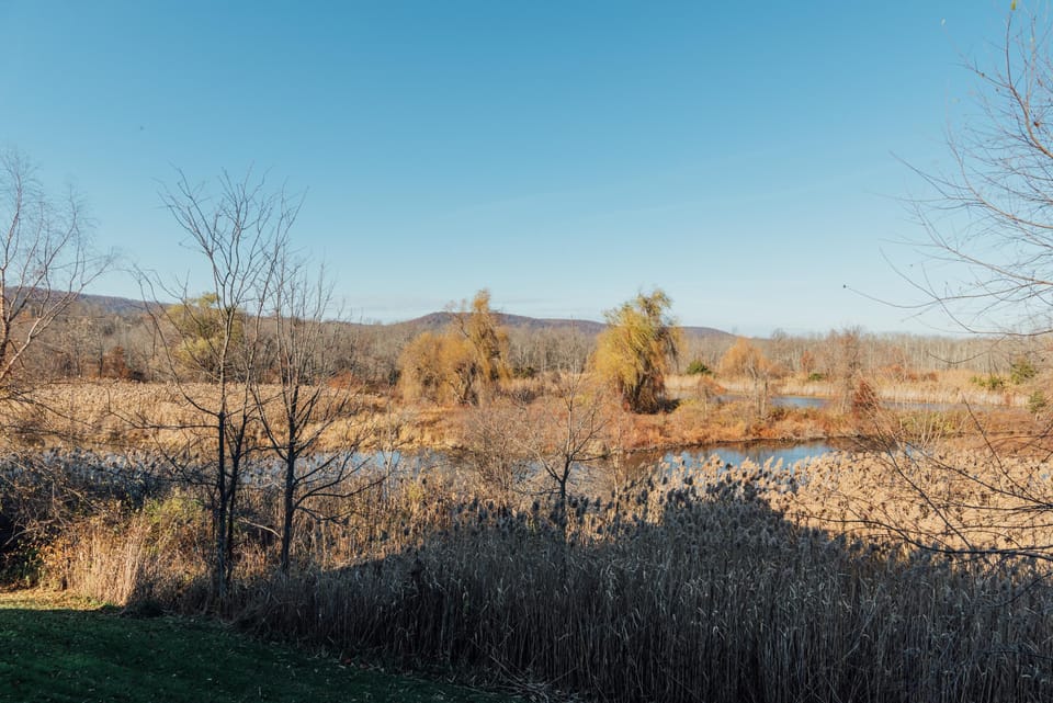 Tranquil riverside view perfect for peaceful mornings