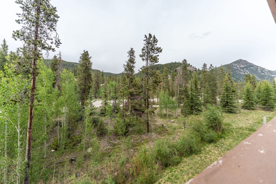 Mountain forest landscape with rolling hills and mixed evergreen and deciduous trees in a natural wilderness setting.
