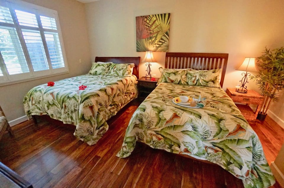 Downstairs Guest Bedroom - Queen & Full sized beds