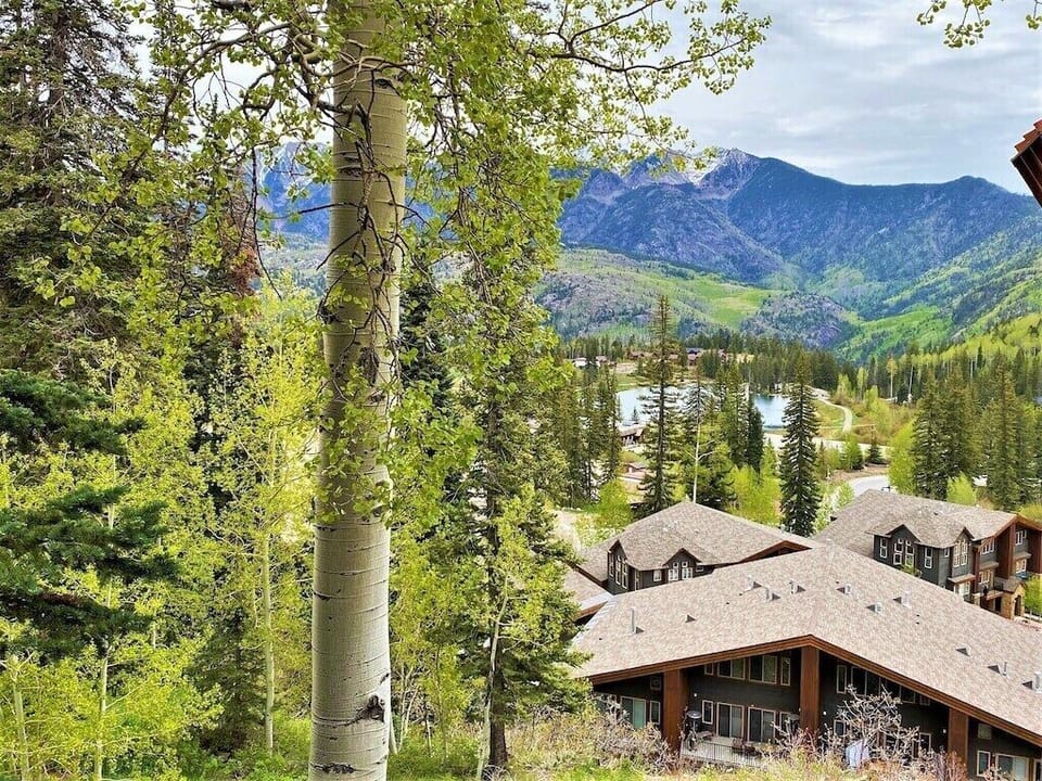 Views from the Deck