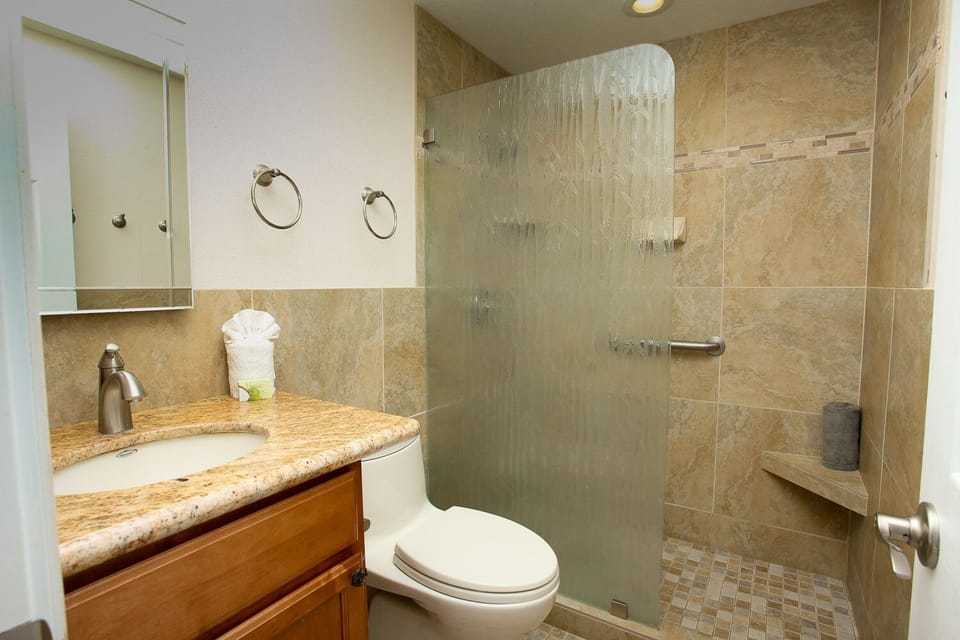 The main level bath has a  walk in shower with grab bar and tile seat.