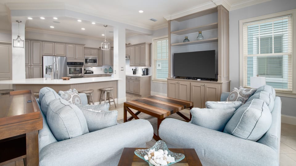 Living and Kitchen Area