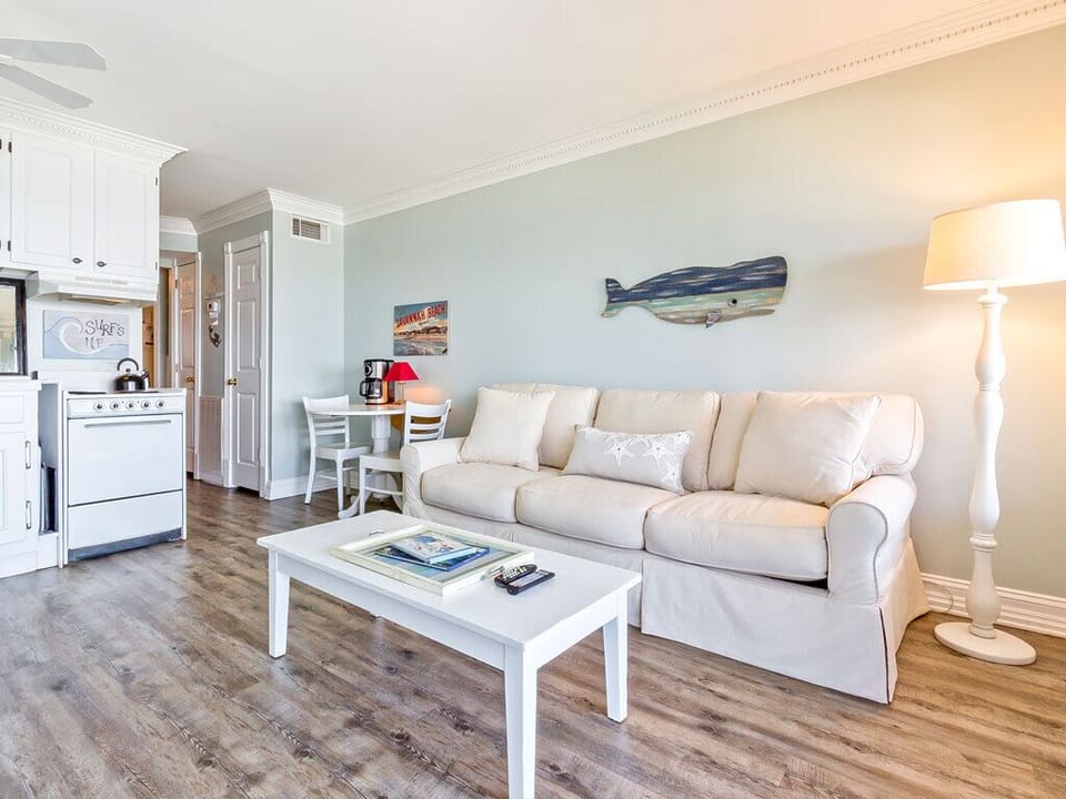 Living Area - Sleeper Sofa