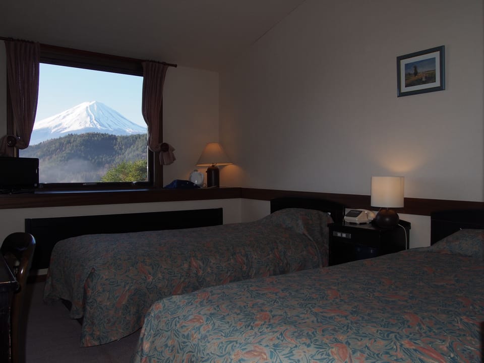Twin Room | Desk, laptop workspace, iron/ironing board, rollaway beds