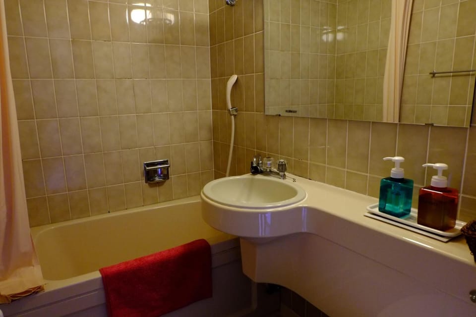 Combined shower/tub, free toiletries, hair dryer, bathrobes