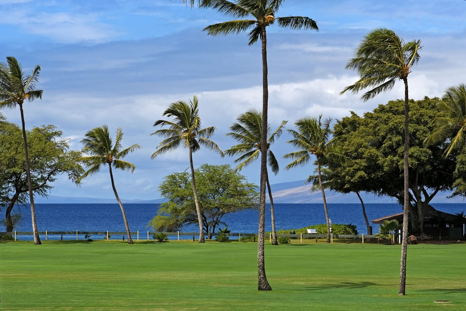 Ocean View from Prime unit J206 -Top Floor, Desirable J unit, 1200 sqft