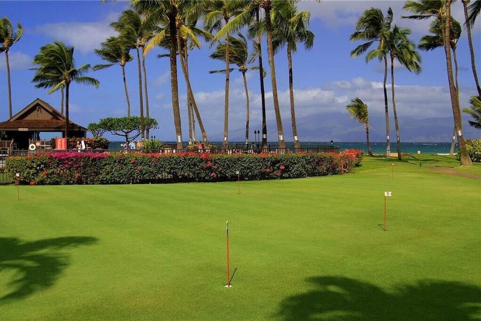 The front desk supplies golf clubs for the 2 putting greens.