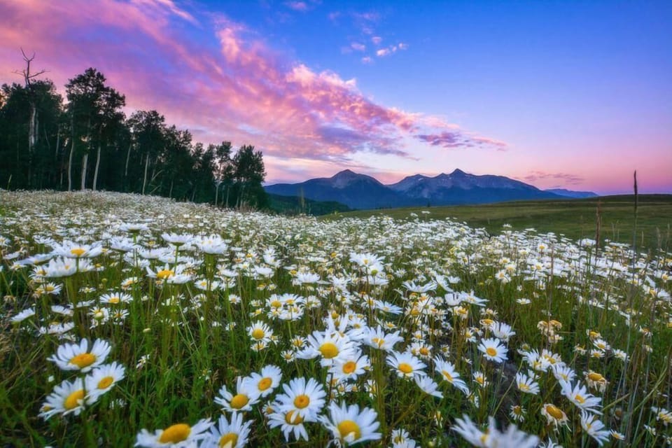 You truly cannot beat the sunsets in Telluride and Mountain Village.