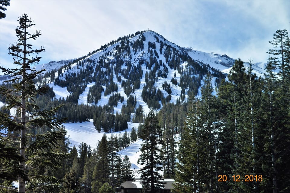 Picture taken from living room window