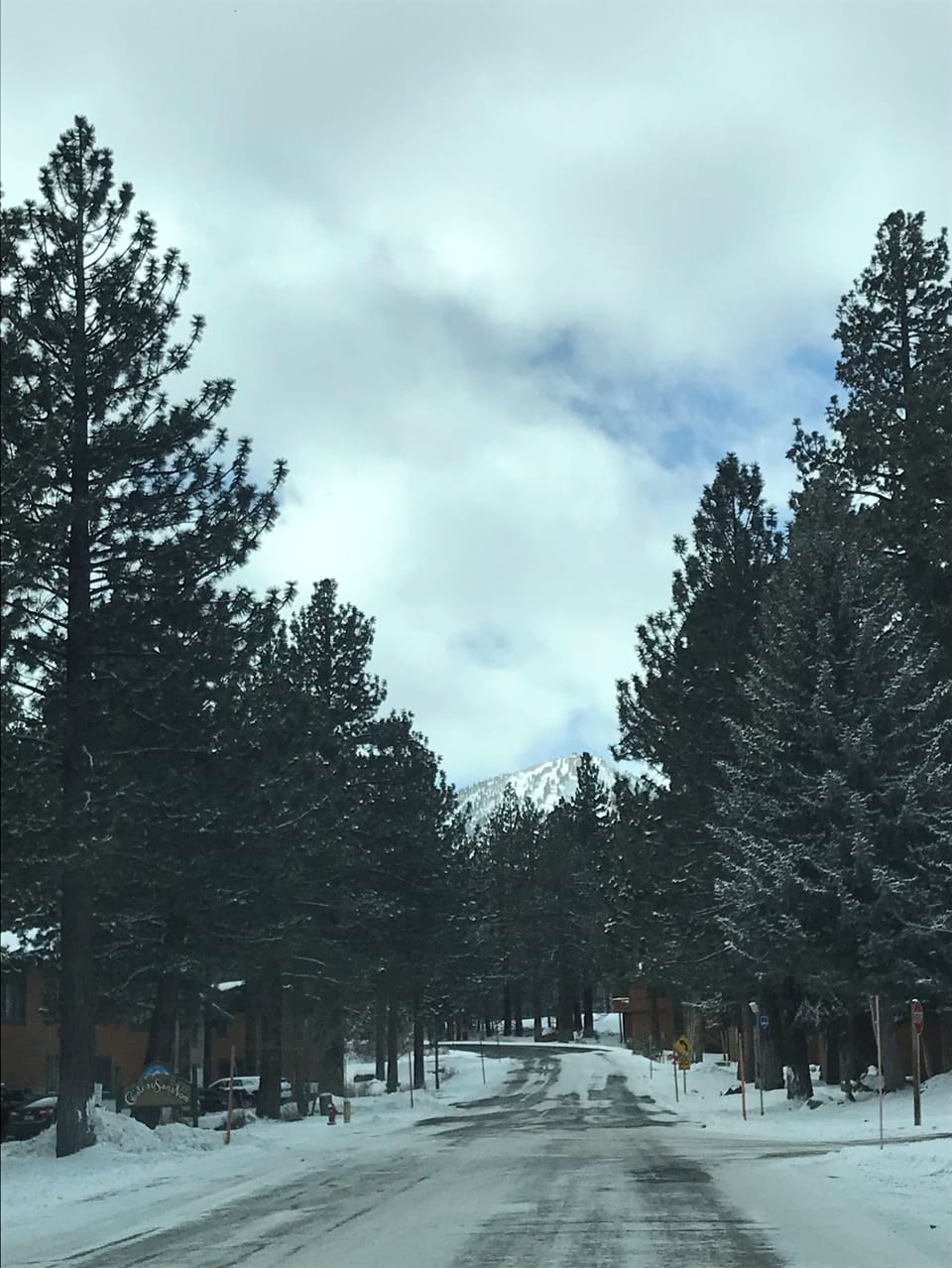 Snow and ski sports
