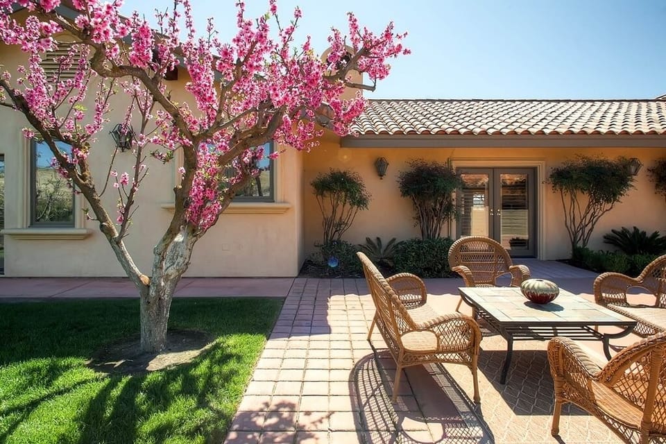 Front Patio with Vineyard Views - Beautiful Cherry Blossoms adorn the patio when in bloom