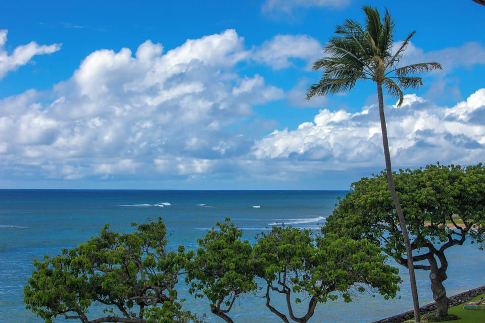 Coastal tropical landscape with ocean views framed by lush greenery and iconic palm tree under partly cloudy skies.