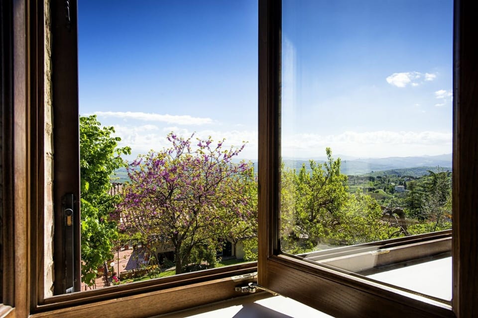 Scenic View