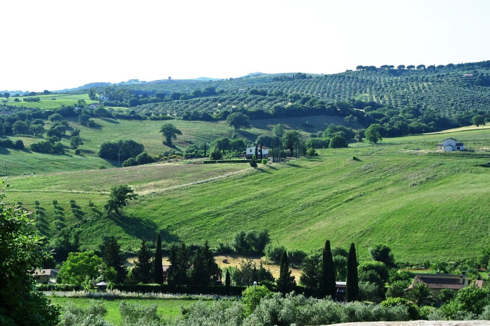 Plant, Sky, Ecoregion, Green, Natural Landscape, Natural Environment, Tree, Land Lot, Slope, Vegetation