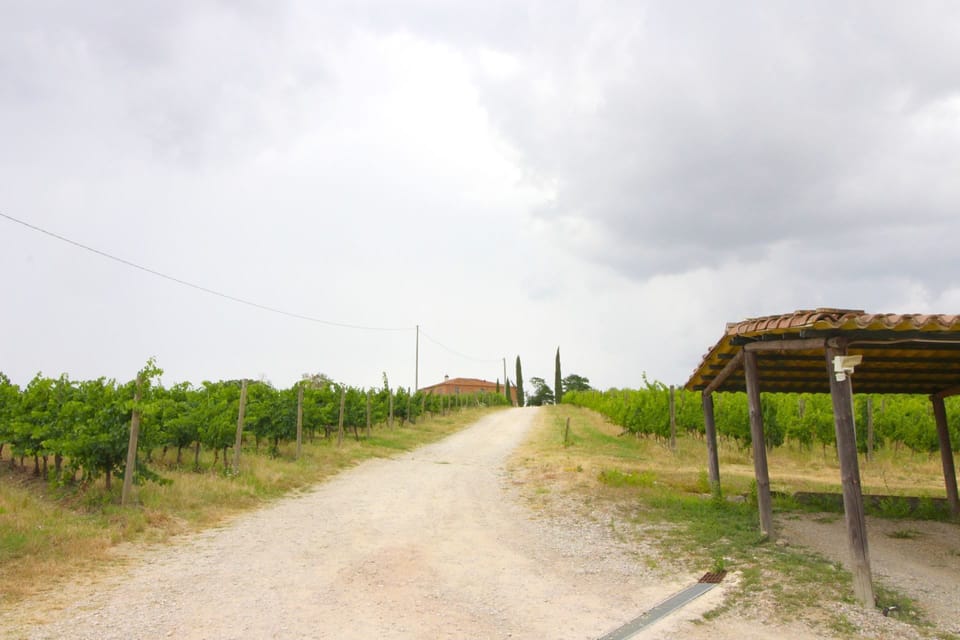 Cloud, Sky, Plant, Natural Landscape, Road Surface, Asphalt, Grass, Road, Landscape, Grassland