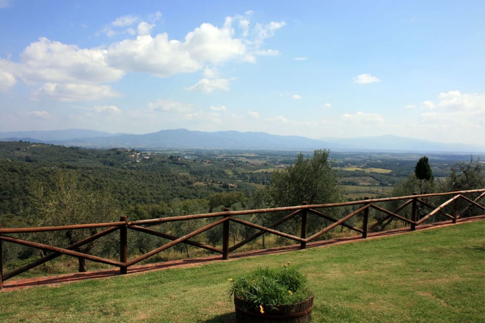 Sky, Cloud, Plant, Plant Community, Ecoregion, Natural Environment, Natural Landscape, Flowerpot, Mountain, Tree