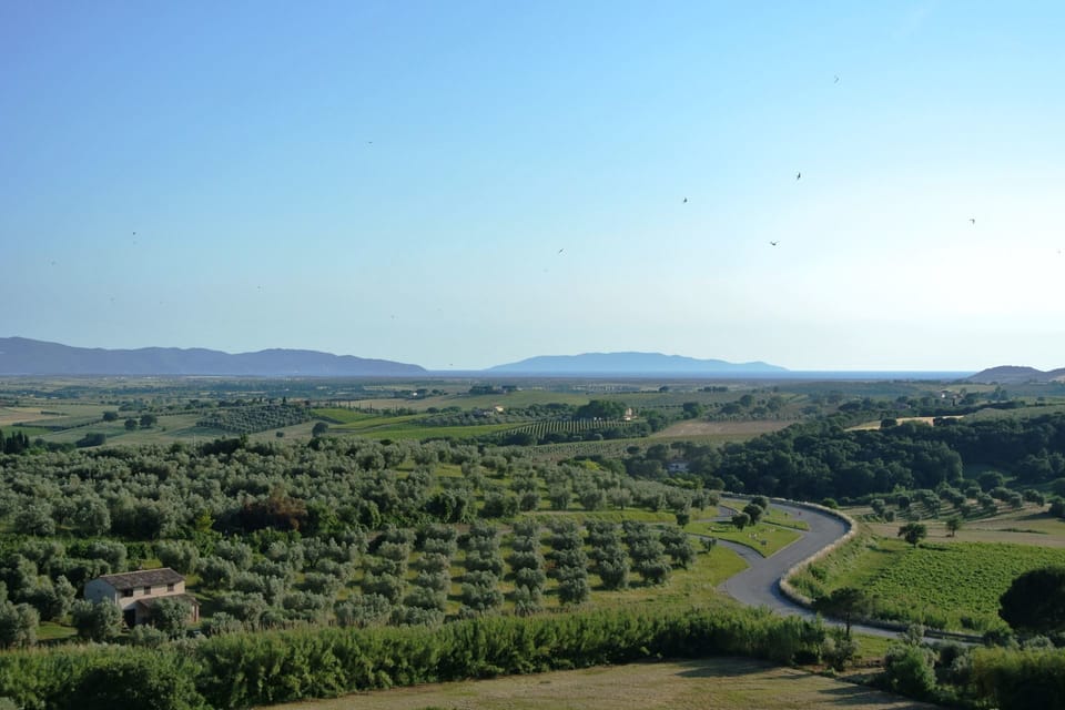 Sky, Plant, Plant Community, Mountain, Ecoregion, Natural Landscape, Highland, Cloud, Land Lot, Tree