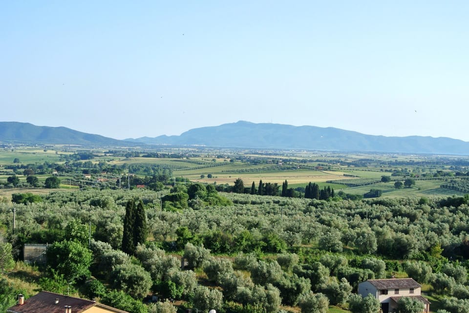 Sky, Plant, Mountain, Plant Community, Natural Landscape, Highland, Land Lot, Agriculture, Tree, Grassland
