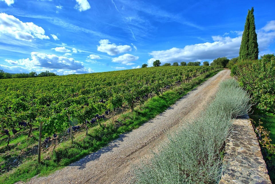 Outdoor, Scenic View