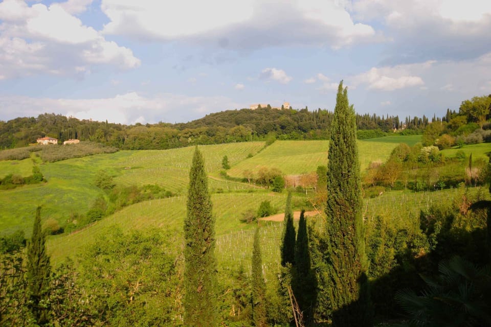 Panorama
