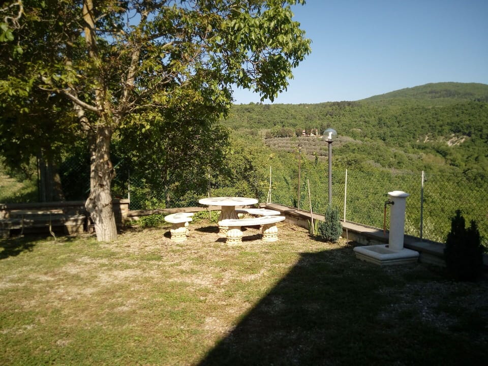 Scenic View