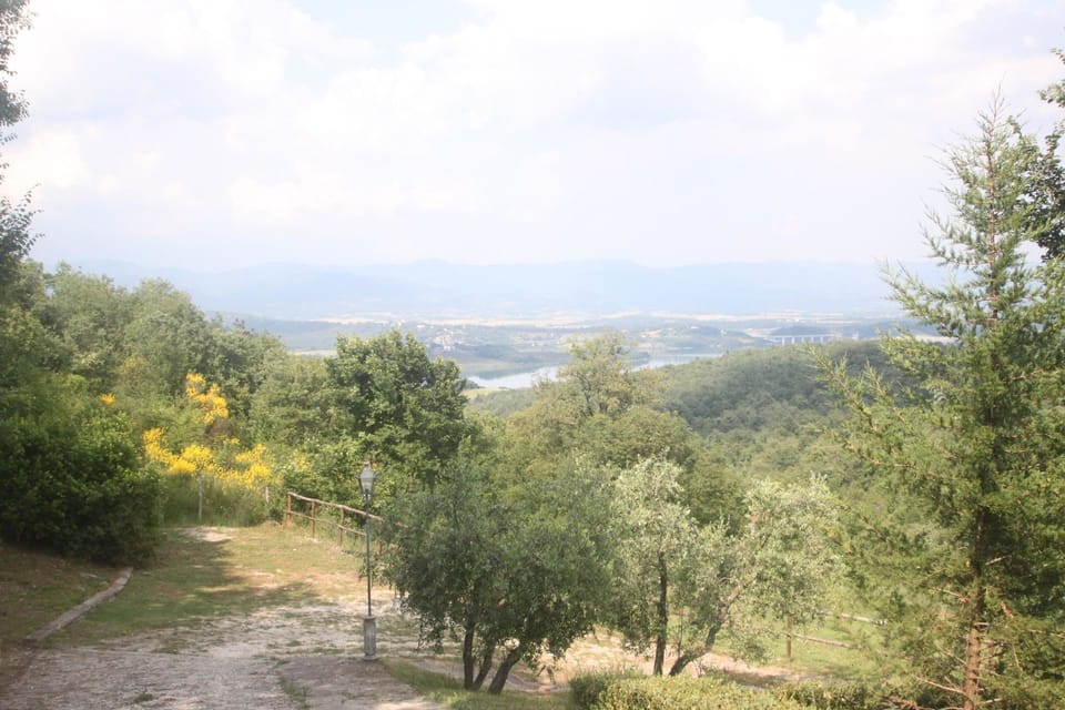 Scenic View