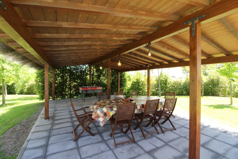 Plant, Property, Furniture, Table, Chair, Shade, Wood, Outdoor Furniture, Tree, Outdoor Table
