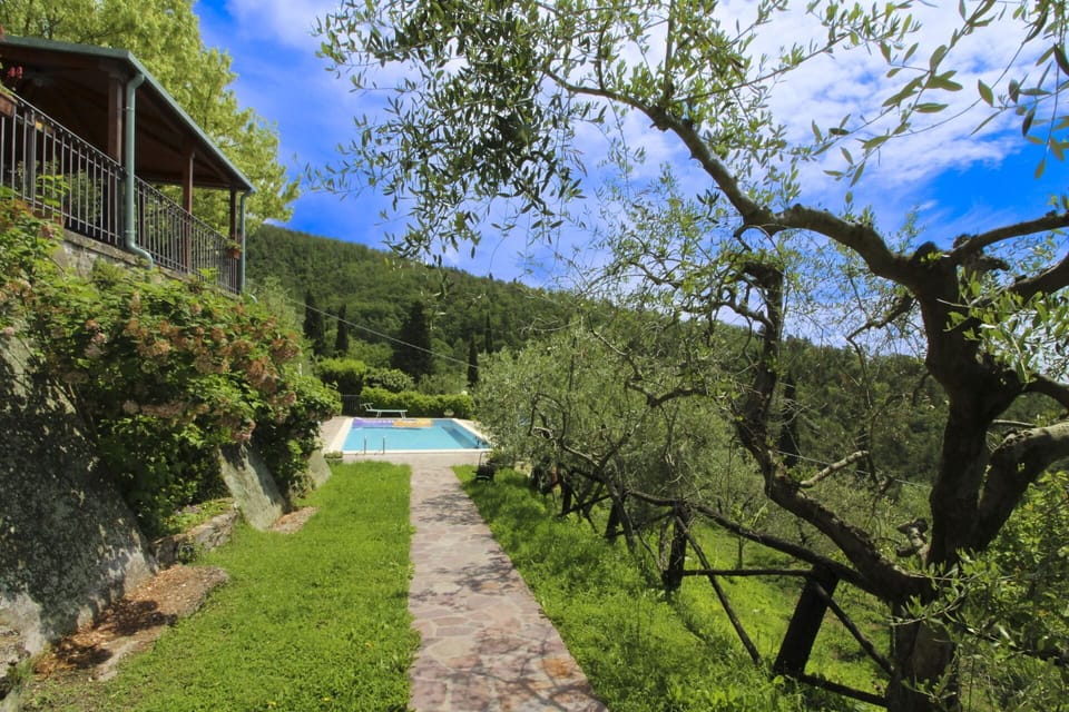 Hill Station, Garden, Eco Hotel, Swimming Pool, Landscaping, Resort, Farmhouse, Hacienda, Villa, Backyard