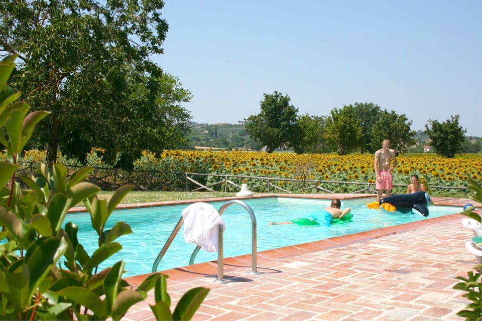 Swimming Pool, Leisure, Outdoor Furniture, Recreation, Garden, Resort, Vacation, Shade, Landscaping, Eco Hotel