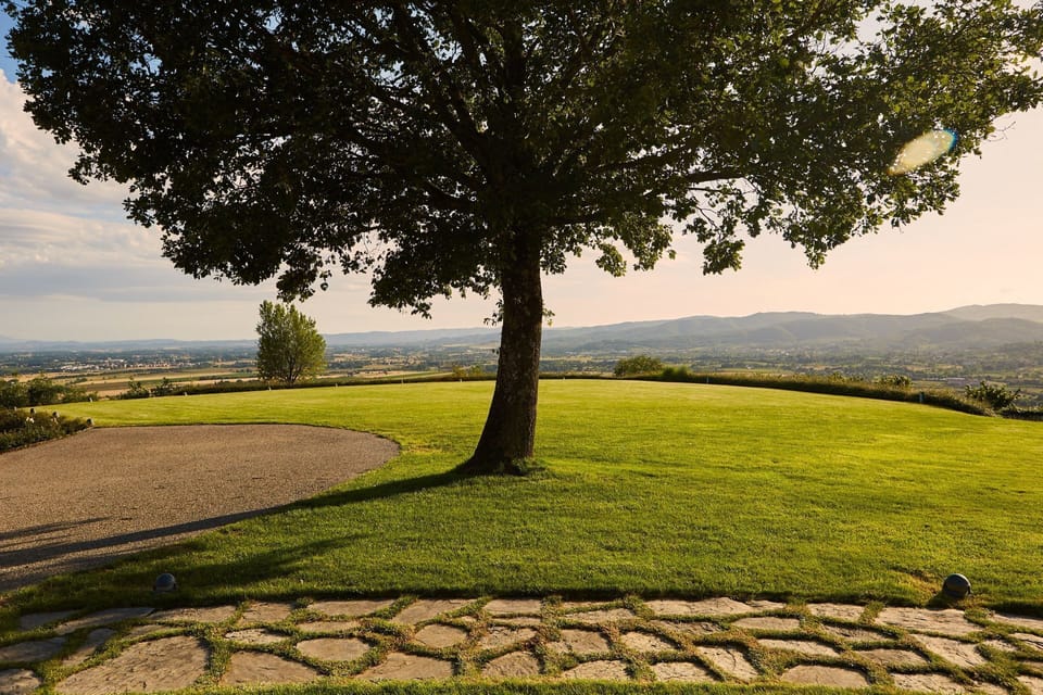 Garden, Scenic View