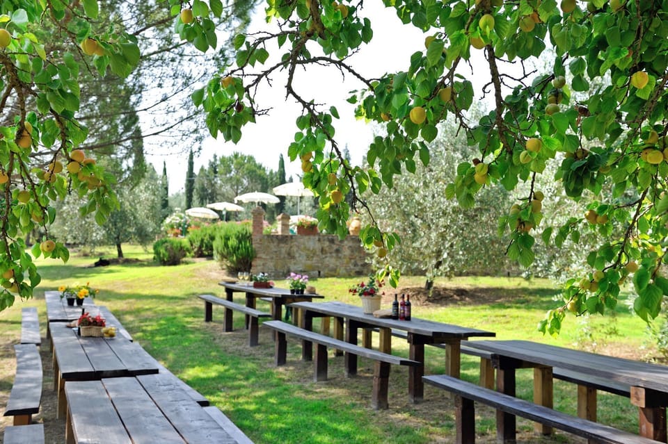 Garden, Outdoor