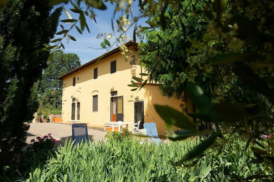 Garden, Outdoor