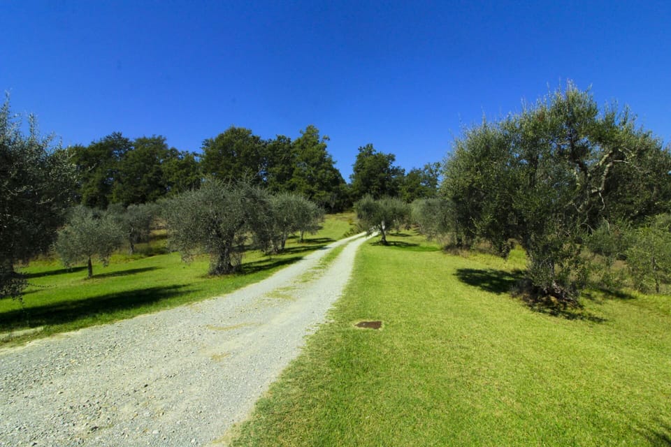 Estate, Farmhouse, Garden, Landscaping, Hacienda, Lawn, Villa, Yard, Backyard, Mansion