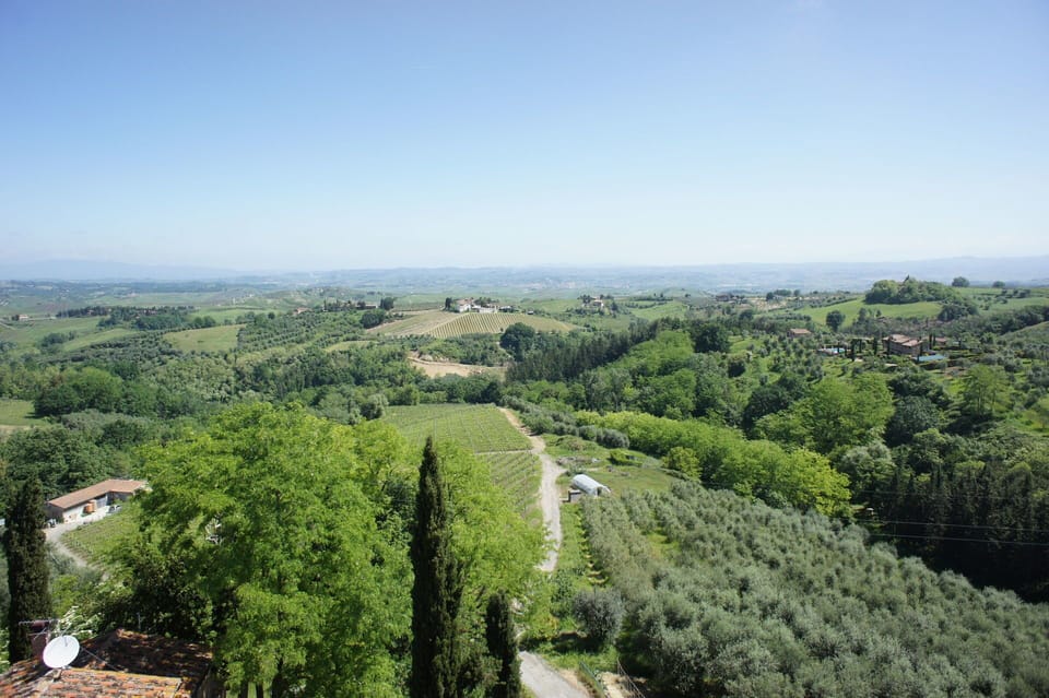 Scenic View