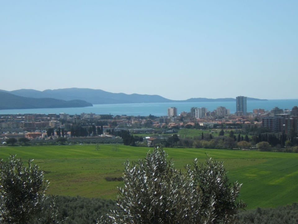 Scenic View